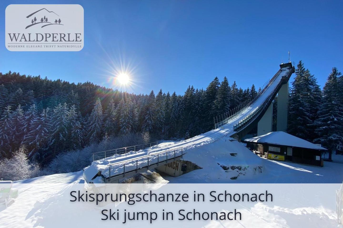 Exklusives 5-Sterne Apartment Waldperle Mit Indoor-Pool, Sauna, Top Lage Und Ausblick In Die Natur, Hunde Willkommen Schonach im Schwarzwald 외부 사진