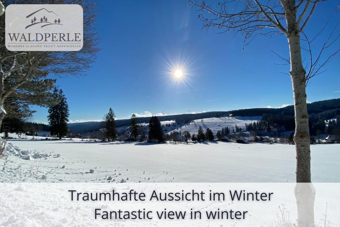 Exklusives 5-Sterne Apartment Waldperle Mit Indoor-Pool, Sauna, Top Lage Und Ausblick In Die Natur, Hunde Willkommen Schonach im Schwarzwald 외부 사진