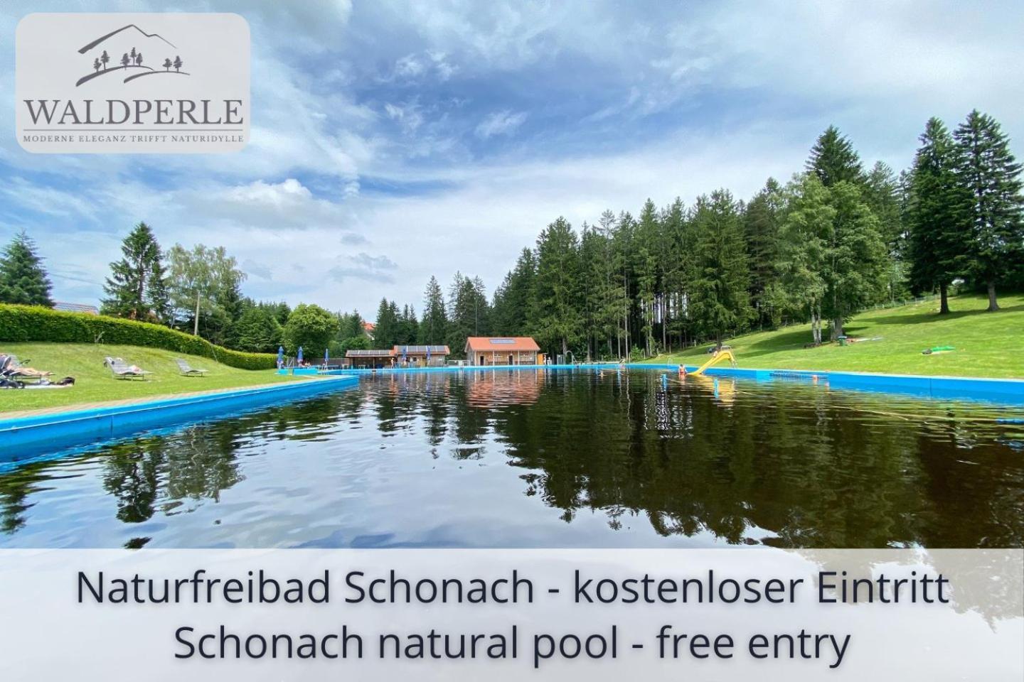 Exklusives 5-Sterne Apartment Waldperle Mit Indoor-Pool, Sauna, Top Lage Und Ausblick In Die Natur, Hunde Willkommen Schonach im Schwarzwald 외부 사진