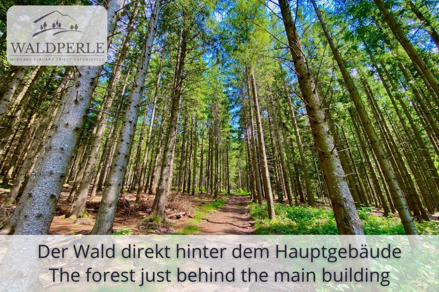 Exklusives 5-Sterne Apartment Waldperle Mit Indoor-Pool, Sauna, Top Lage Und Ausblick In Die Natur, Hunde Willkommen Schonach im Schwarzwald 외부 사진