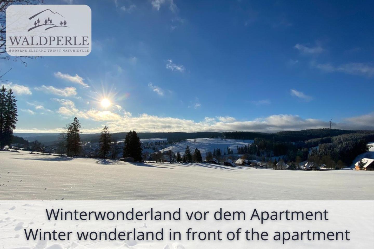 Exklusives 5-Sterne Apartment Waldperle Mit Indoor-Pool, Sauna, Top Lage Und Ausblick In Die Natur, Hunde Willkommen Schonach im Schwarzwald 외부 사진