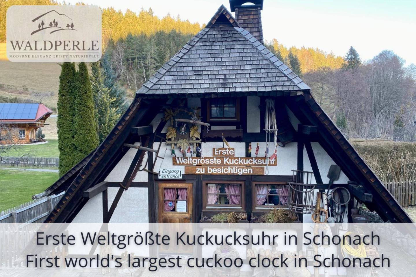 Exklusives 5-Sterne Apartment Waldperle Mit Indoor-Pool, Sauna, Top Lage Und Ausblick In Die Natur, Hunde Willkommen Schonach im Schwarzwald 외부 사진