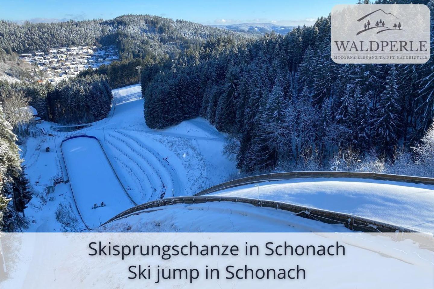 Exklusives 5-Sterne Apartment Waldperle Mit Indoor-Pool, Sauna, Top Lage Und Ausblick In Die Natur, Hunde Willkommen Schonach im Schwarzwald 외부 사진