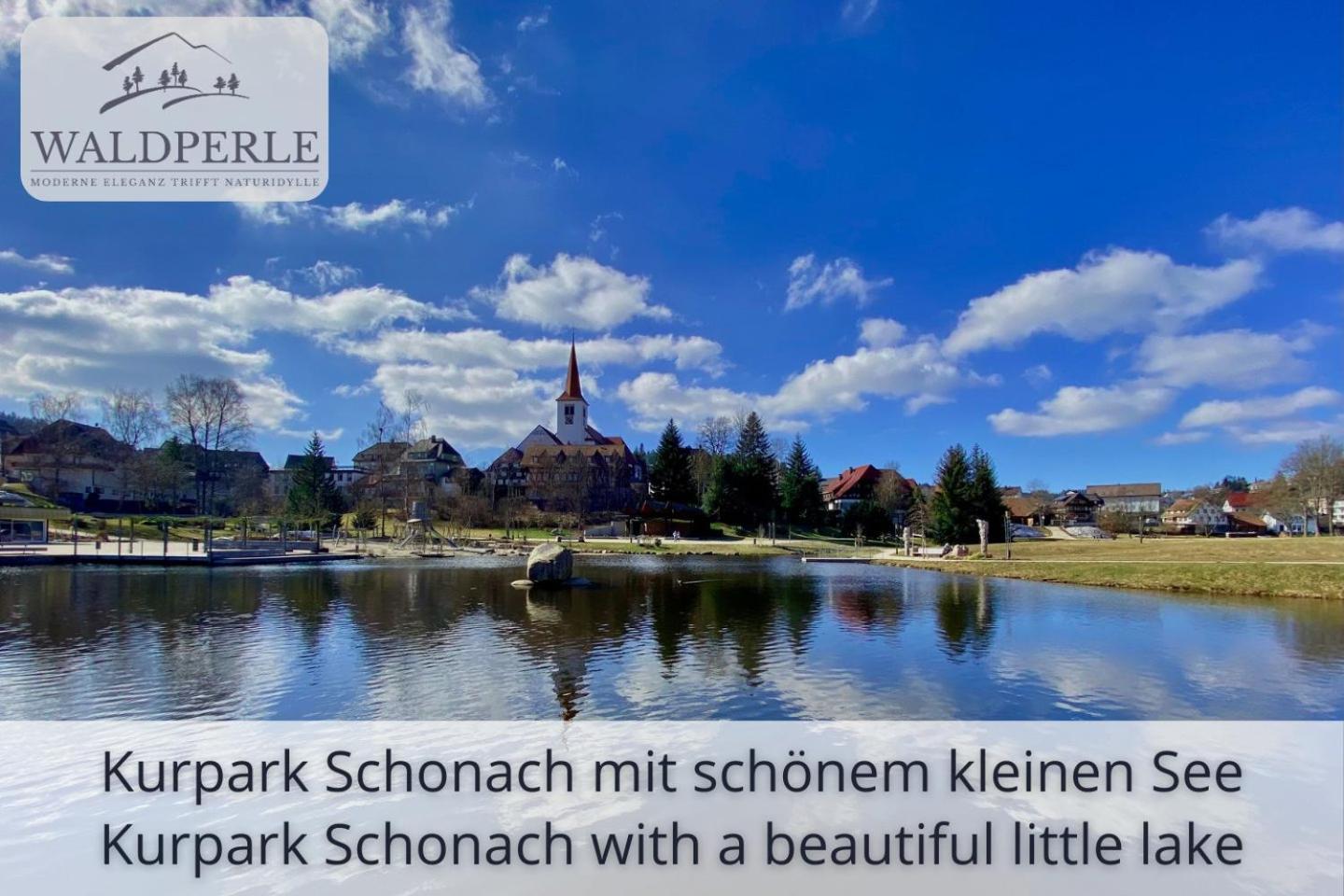 Exklusives 5-Sterne Apartment Waldperle Mit Indoor-Pool, Sauna, Top Lage Und Ausblick In Die Natur, Hunde Willkommen Schonach im Schwarzwald 외부 사진