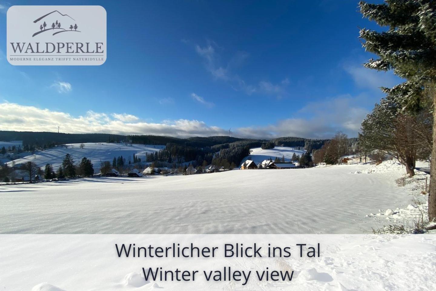 Exklusives 5-Sterne Apartment Waldperle Mit Indoor-Pool, Sauna, Top Lage Und Ausblick In Die Natur, Hunde Willkommen Schonach im Schwarzwald 외부 사진
